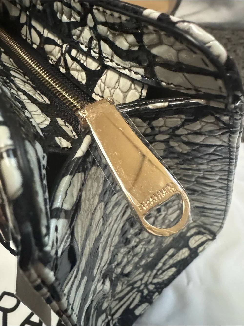 The Brahmin Cami Satchel NWT Full Inclusion.